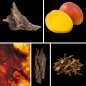 Preview: Duftnoten: Mango, Bernstein, Trockenholz, Oud (Argarholz), Nussgras/Nagarmotha